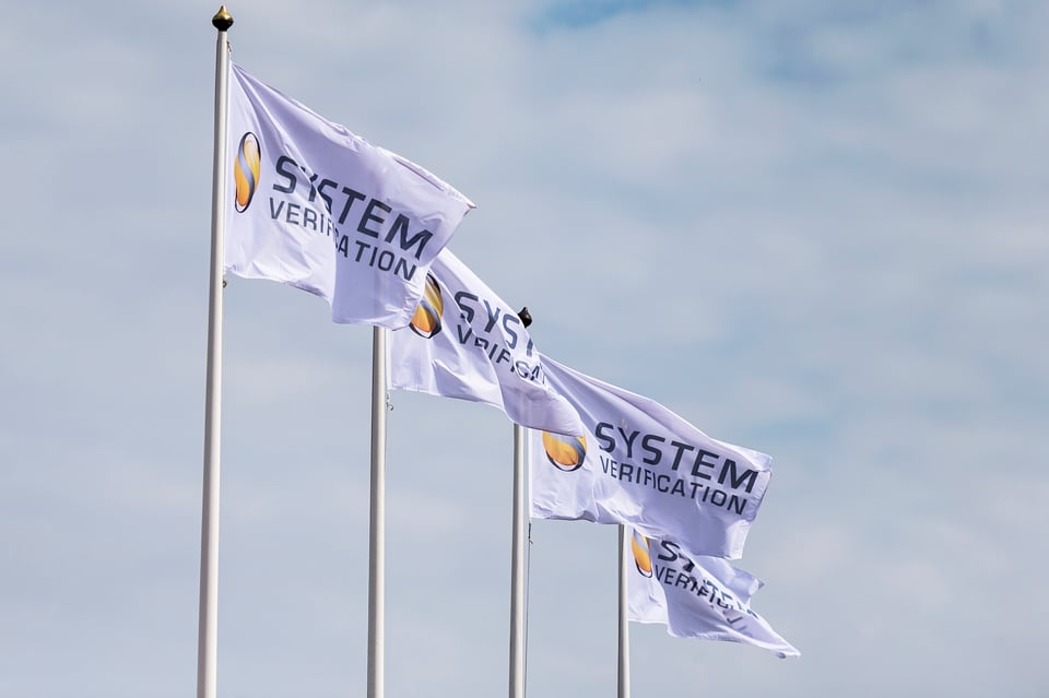 System Verification flags
